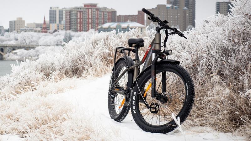 E-Bike Snow