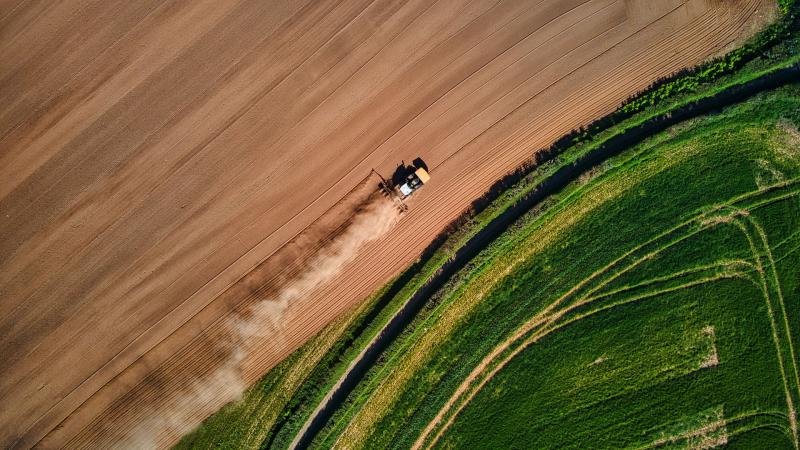 Biofuels Corn Crops