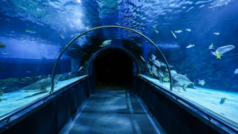 metro india underwater