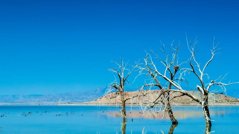 salton sea λίθιο