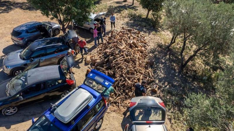 Μεταφορά ξύλων με το αυτοκίνητο