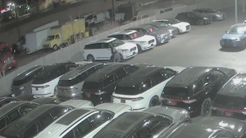 Landmark Lincolm theft