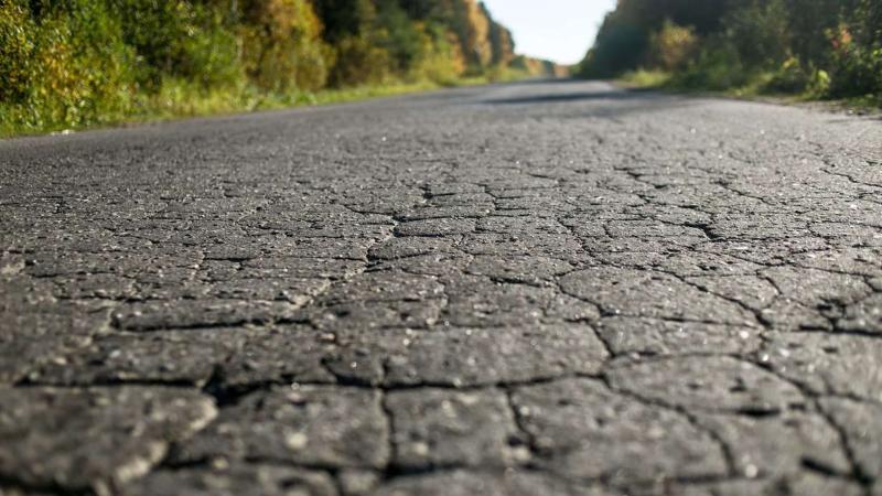 Crocodile cracking road 1