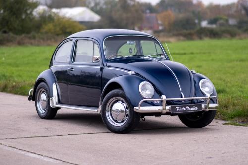 vw beetle